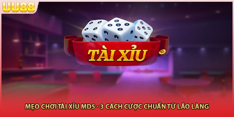 Mẹo Chơi Tài Xỉu MD5